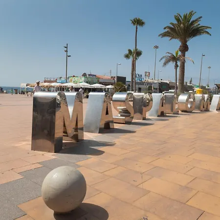 Lirio Blanco De Dunas Canarias Playa del Inglés