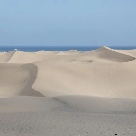 Lirio Blanco De Dunas Canarias Плайя-дель-Інглес