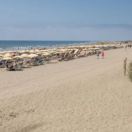 Lirio Blanco De Dunas Canarias * Плайя-дель-Інглес