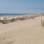 Lirio Blanco De Dunas Canarias * Playa del Ingles (Gran Canaria)